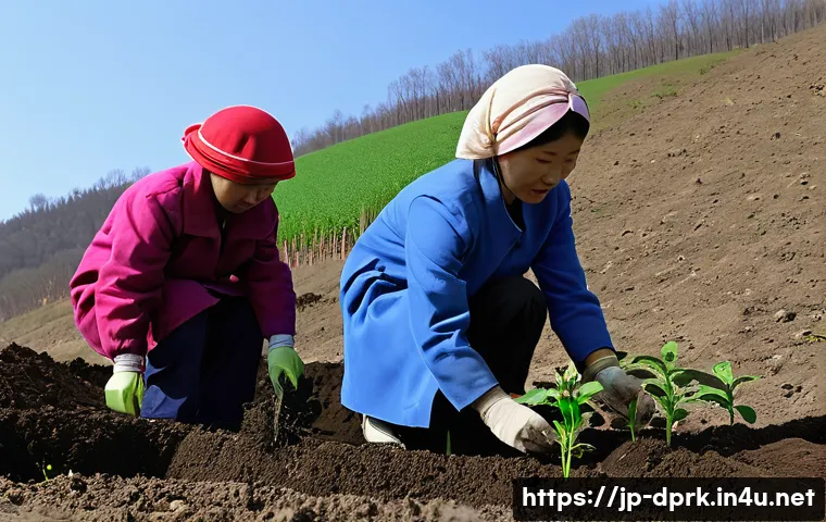 北朝鮮の森が消滅寸前?驚くべき木材生産と隠された環境問題に迫る 4 북한의 임업 목재 생산과 환경 문제 관련 이미지 2