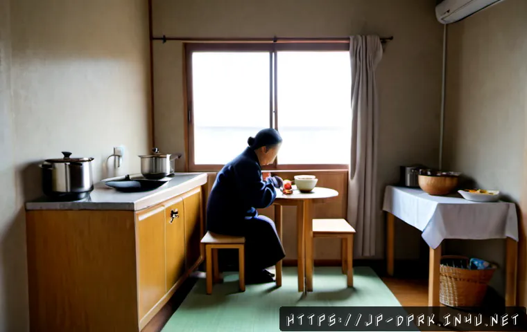 북한의 생활 수준   주거와 식량 상황 - Photorealistic documentary-style view of a modest North Korean apartment interior, an elderly couple...